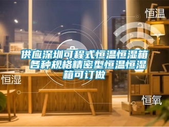 知識百科供應深圳可程式恒溫恒濕箱 各種規格精密型恒溫恒濕箱可訂做
