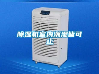 企業(yè)新聞除濕機室內(nèi)潮濕皆可止