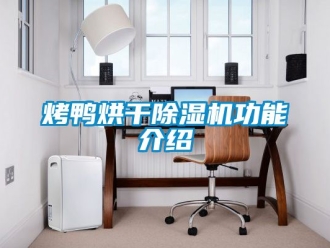 行業新聞烤鴨烘干除濕機功能介紹