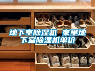 行業(yè)新聞地下室除濕機 家里地下室除濕機單價