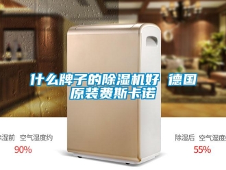 行業新聞什么牌子的除濕機好 德國原裝費斯卡諾