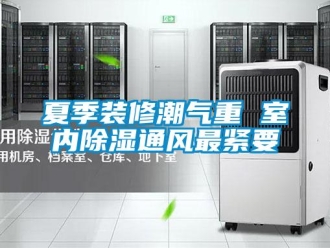 知識百科夏季裝修潮氣重 室內(nèi)除濕通風(fēng)最緊要