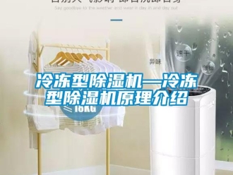 行業(yè)新聞冷凍型除濕機(jī)—冷凍型除濕機(jī)原理介紹