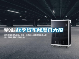 行業新聞秋季汽車除濕幾大招