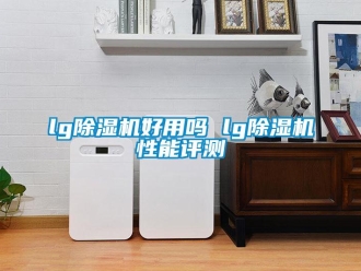 企業(yè)新聞lg除濕機(jī)好用嗎 lg除濕機(jī)性能評測