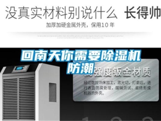 行業(yè)新聞回南天你需要除濕機(jī)防潮