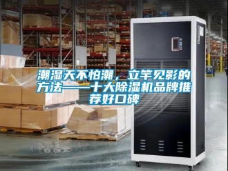 企業新聞潮濕天不怕潮，立竿見影的方法——十大除濕機品牌推薦好口碑
