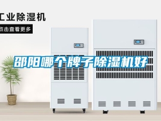 行業(yè)新聞邵陽(yáng)哪個(gè)牌子除濕機(jī)好