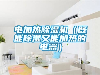 行業新聞電加熱除濕機（既能除濕又能加熱的電器）