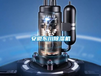 企業新聞安徽東川除濕機