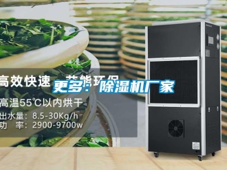 企業(yè)新聞更多：除濕機(jī)廠家