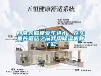 行業(yè)新聞回南天偏逢愛車進(jìn)水，在車?yán)镩L蘑菇之前我用除濕機救了它