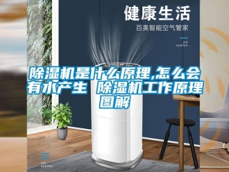 行業(yè)新聞除濕機(jī)是什么原理,怎么會(huì)有水產(chǎn)生 除濕機(jī)工作原理圖解