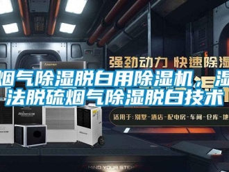 知識百科煙氣除濕脫白用除濕機(jī)，濕法脫硫煙氣除濕脫白技術(shù)