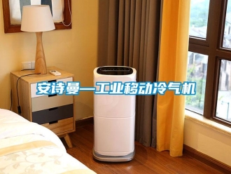 企業(yè)新聞安詩曼—工業(yè)移動冷氣機(jī)