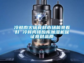 行業(yè)新聞冷鮮肉火鍋食材市場前景看好 冷鮮肉排酸庫加濕機保證食材品質(zhì)