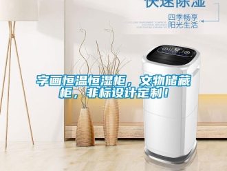 知識百科字畫恒溫恒濕柜，文物儲藏柜，非標設計定制！