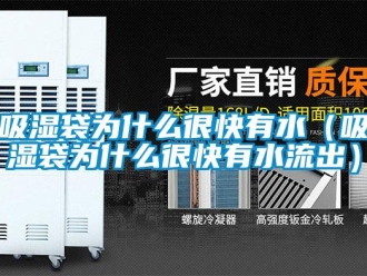 企業新聞吸濕袋為什么很快有水（吸濕袋為什么很快有水流出）