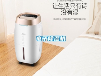 行業新聞電子除濕機