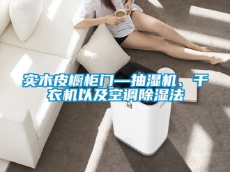 行業(yè)新聞實(shí)木皮櫥柜門—抽濕機(jī)、干衣機(jī)以及空調(diào)除濕法