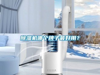 行業新聞除濕機哪個牌子最好用？
