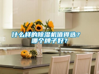行業新聞什么樣的除濕機值得選？ 哪個牌子好？