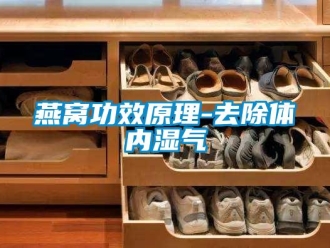 知識百科燕窩功效原理-去除體內(nèi)濕氣