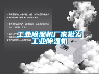 企業(yè)新聞工業(yè)除濕機(jī)廠(chǎng)家批發(fā)工業(yè)除濕機(jī)