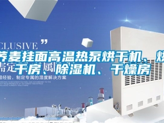 行業新聞蕎麥掛面高溫熱泵烘干機、烘干房、除濕機、干燥房