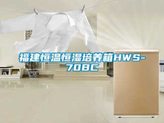 知識百科福建恒溫恒濕培養箱HWS-70BC