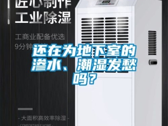 企業(yè)新聞還在為地下室的滲水、潮濕發(fā)愁嗎？