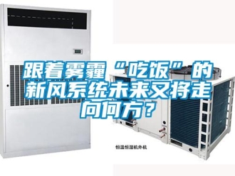 企業(yè)新聞跟著霧霾“吃飯”的新風(fēng)系統(tǒng)未來(lái)又將走向何方？