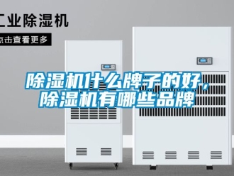 企業(yè)新聞除濕機(jī)什么牌子的好，除濕機(jī)有哪些品牌