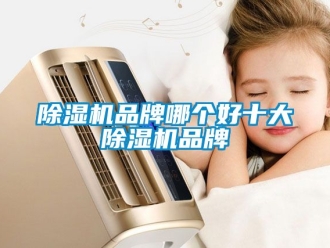 企業新聞除濕機品牌哪個好十大除濕機品牌