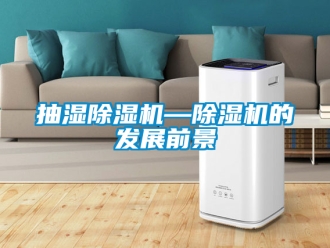 企業(yè)新聞抽濕除濕機(jī)—除濕機(jī)的發(fā)展前景