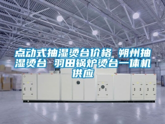 企業新聞點動式抽濕燙臺價格 朔州抽濕燙臺 羽田鍋爐燙臺一體機供應