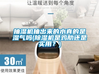企業新聞抽濕機抽出來的水真的是濕氣嗎(除濕機是雞肋還是實用？)