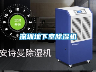 行業新聞深圳地下室除濕機