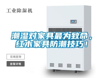 企業新聞潮濕對家具最為致命，紅木家具防潮技巧！
