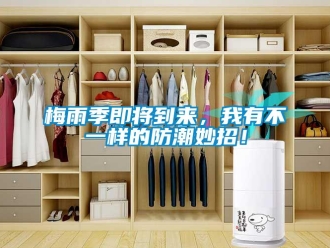 行業新聞梅雨季即將到來，我有不一樣的防潮妙招！