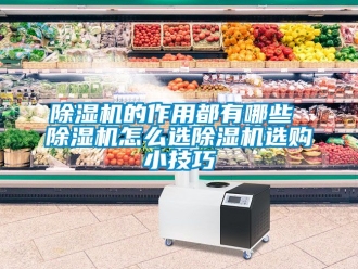 企業新聞除濕機的作用都有哪些 除濕機怎么選除濕機選購小技巧