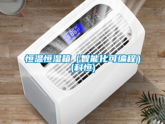知識百科恒溫恒濕箱（智能化可編程）(科恒)
