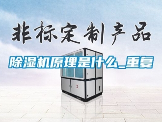 行業(yè)新聞除濕機(jī)原理是什么_重復(fù)