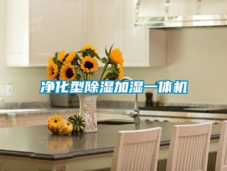 行業新聞凈化型除濕加濕一體機