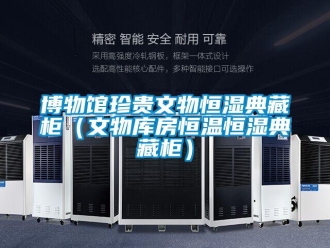 知識百科博物館珍貴文物恒濕典藏柜（文物庫房恒溫恒濕典藏柜）