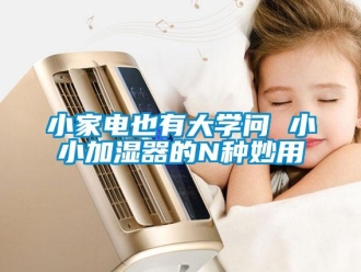 知識百科小家電也有大學問 小小加濕器的N種妙用