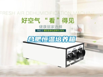 知識百科合肥恒溫培養箱