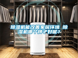 行業(yè)新聞除濕機能改善家居環(huán)境 除濕機哪個牌子好呢？