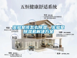行業(yè)新聞實(shí)驗(yàn)室該怎么除濕，實(shí)驗(yàn)室除濕機(jī)解決方案