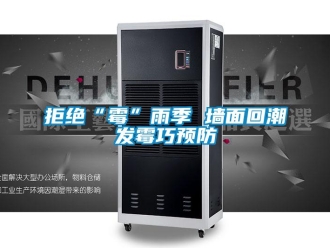 行業(yè)新聞拒絕“霉”雨季 墻面回潮發(fā)霉巧預(yù)防